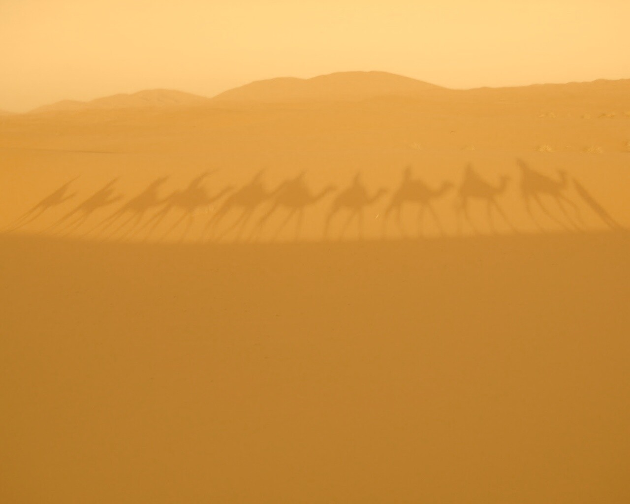 Караван обои