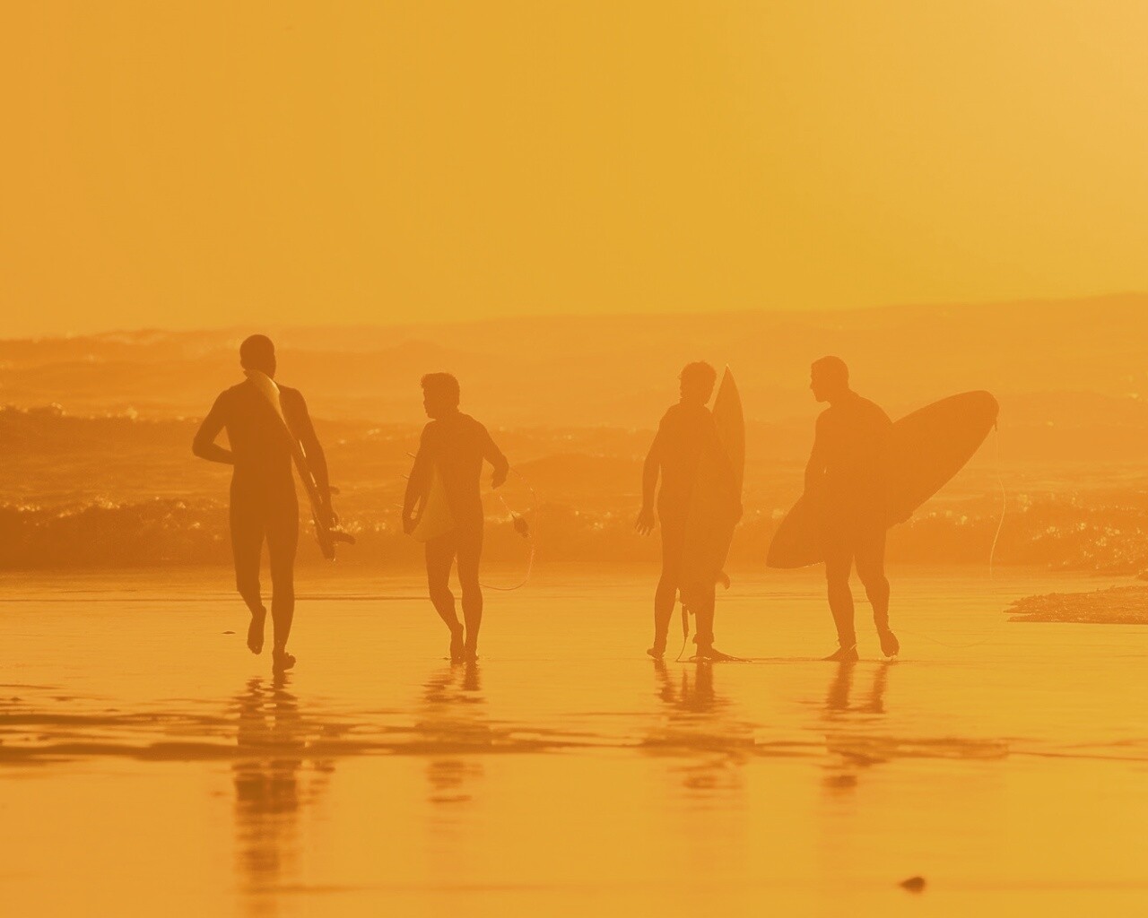 Серфингисты обои