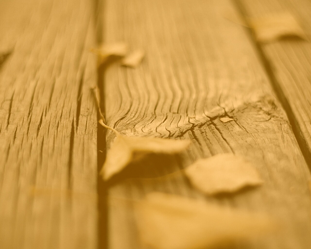 Листья на дощатом полу обои