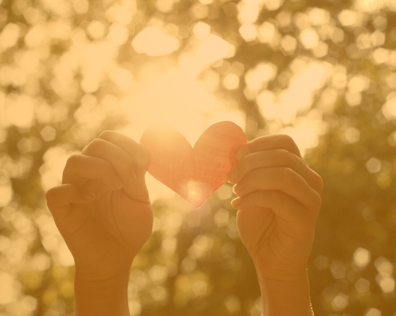 Бумажное красное сердце обои