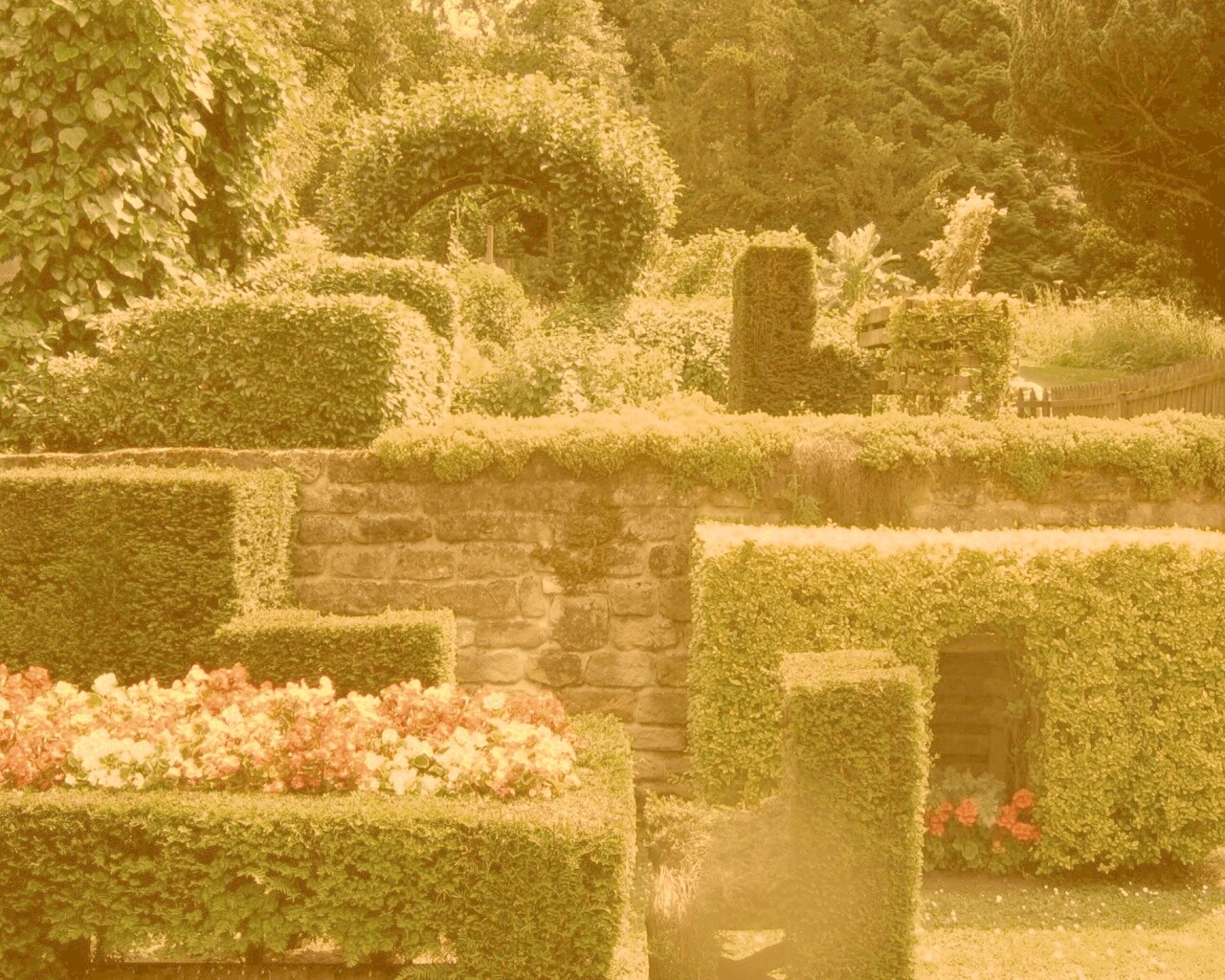 Декоративный сад обои