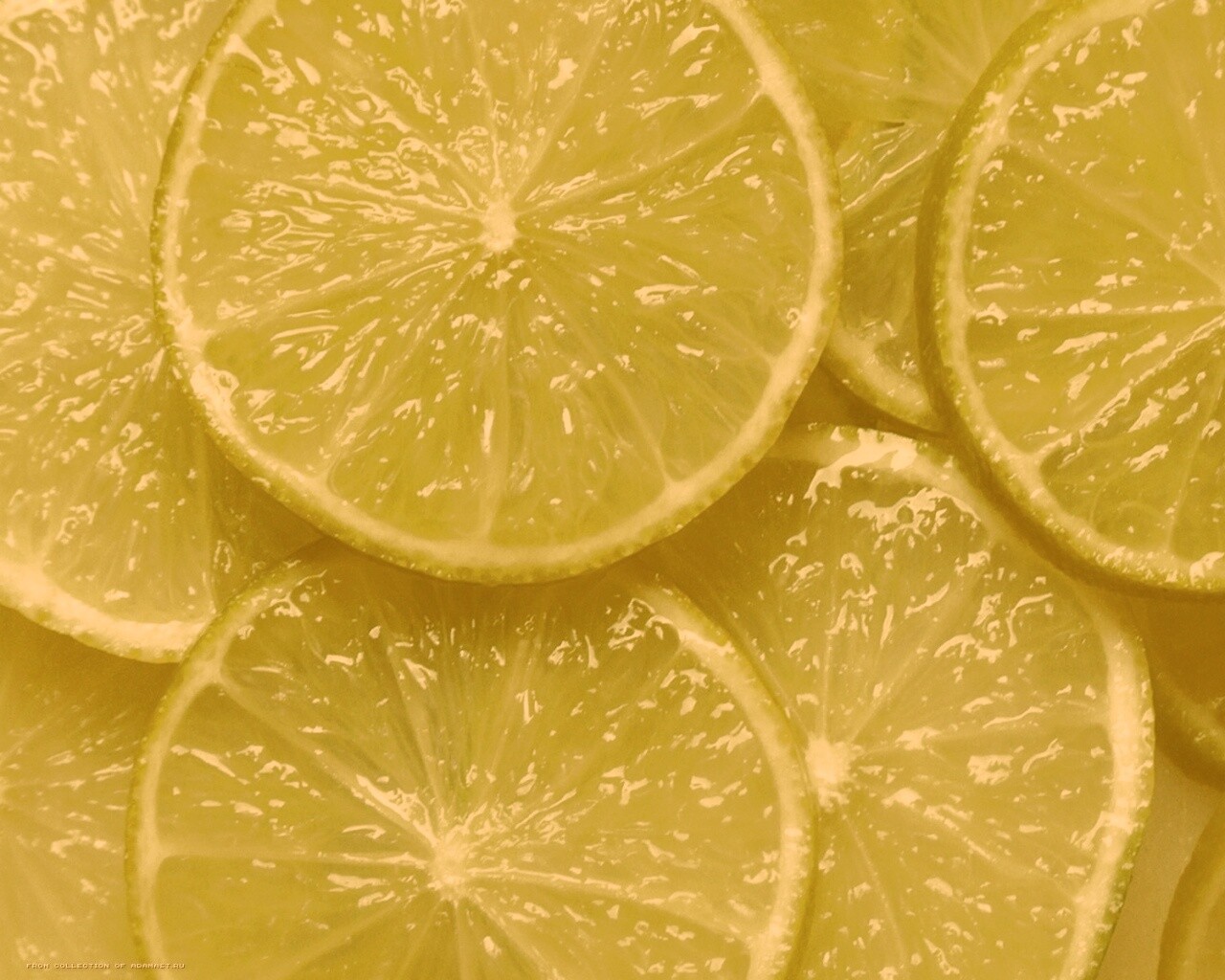 Зеленый лайм обои