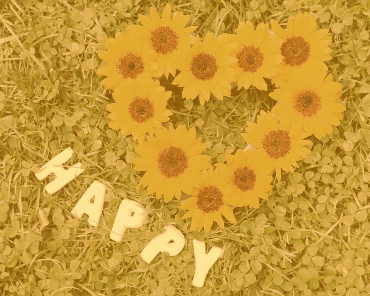 Радость обои