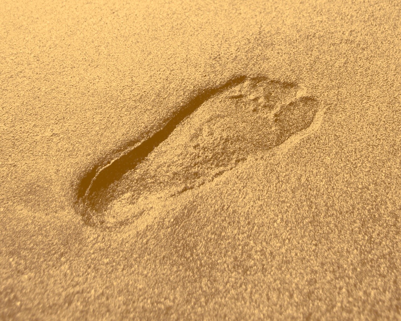 Отпечаток ноги обои