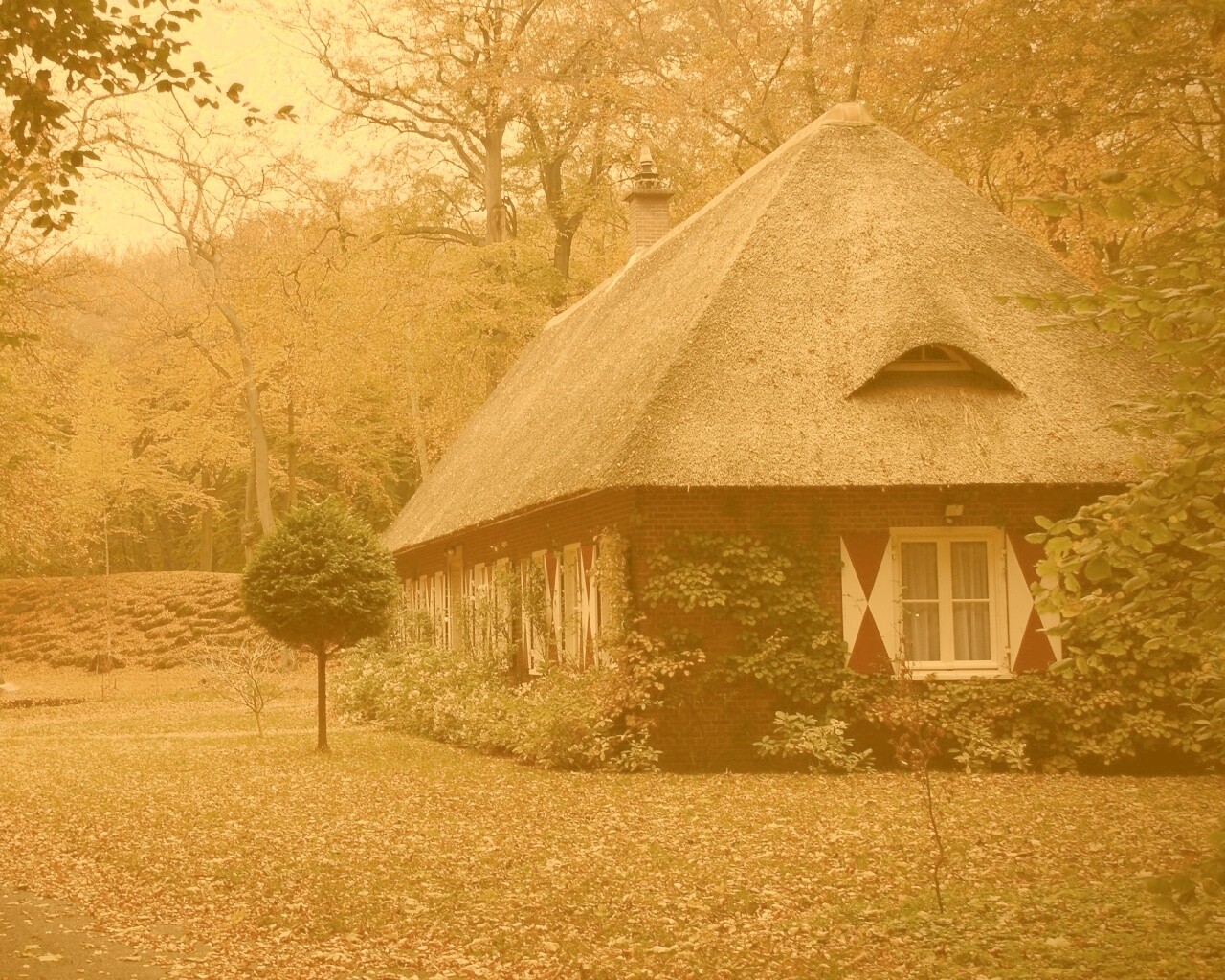 Домик в осеннем лесу обои