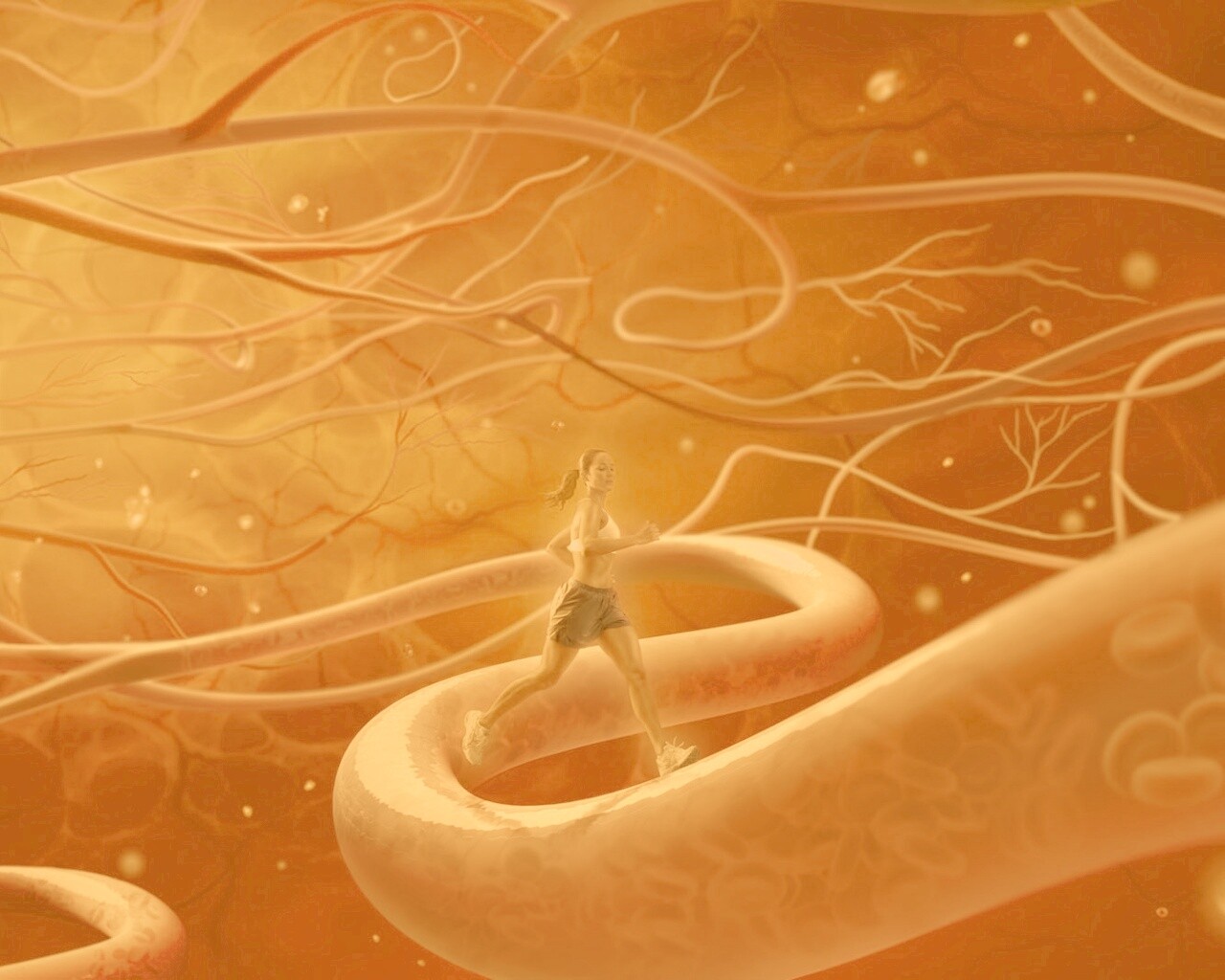 Бег крови обои