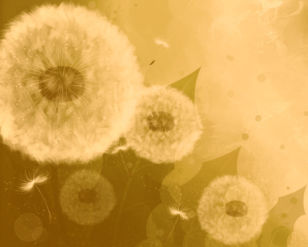 Одуванчики обои