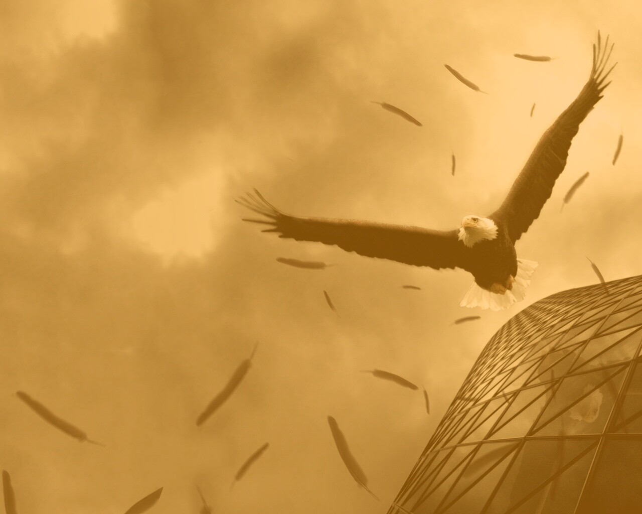 Орлиный полет обои