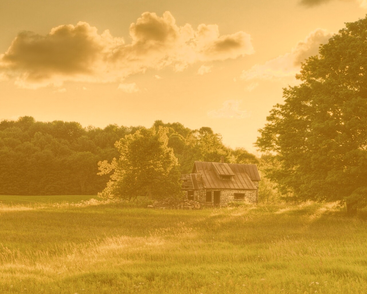 Домик в лесу обои