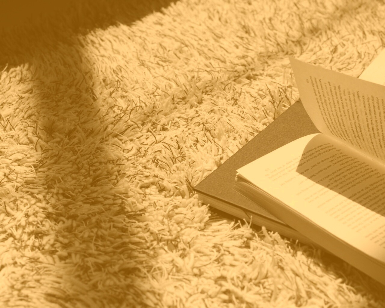 Книга на полу обои