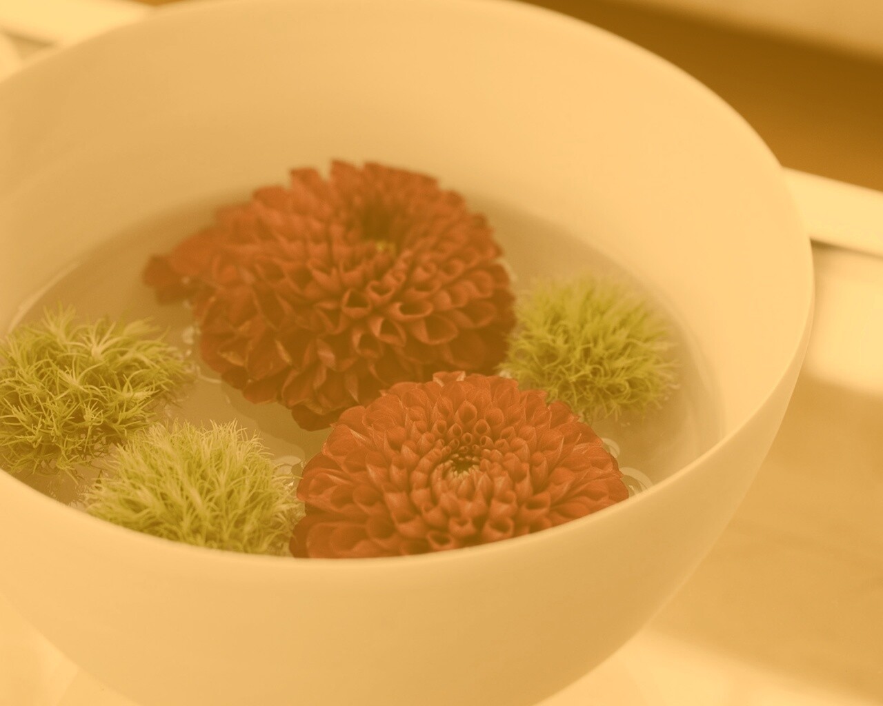 Чаша с цветами обои