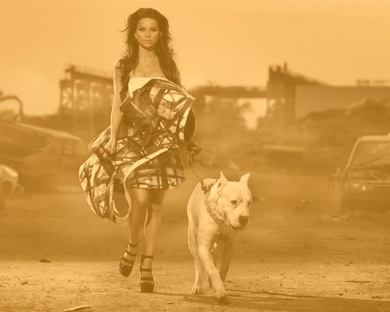 Девушка с питбулем обои