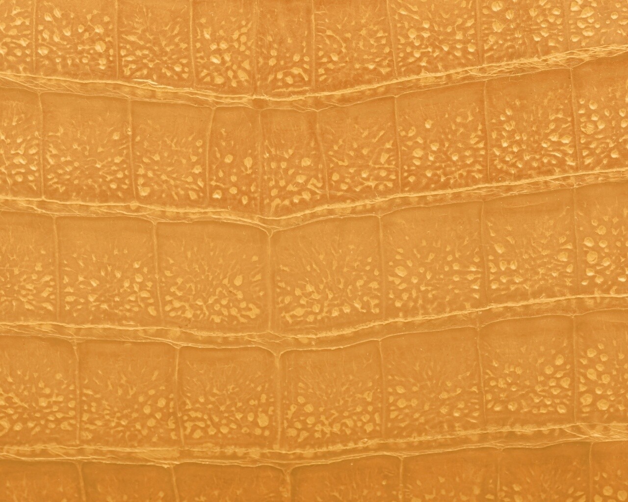 Текстура крокодильей кожи обои