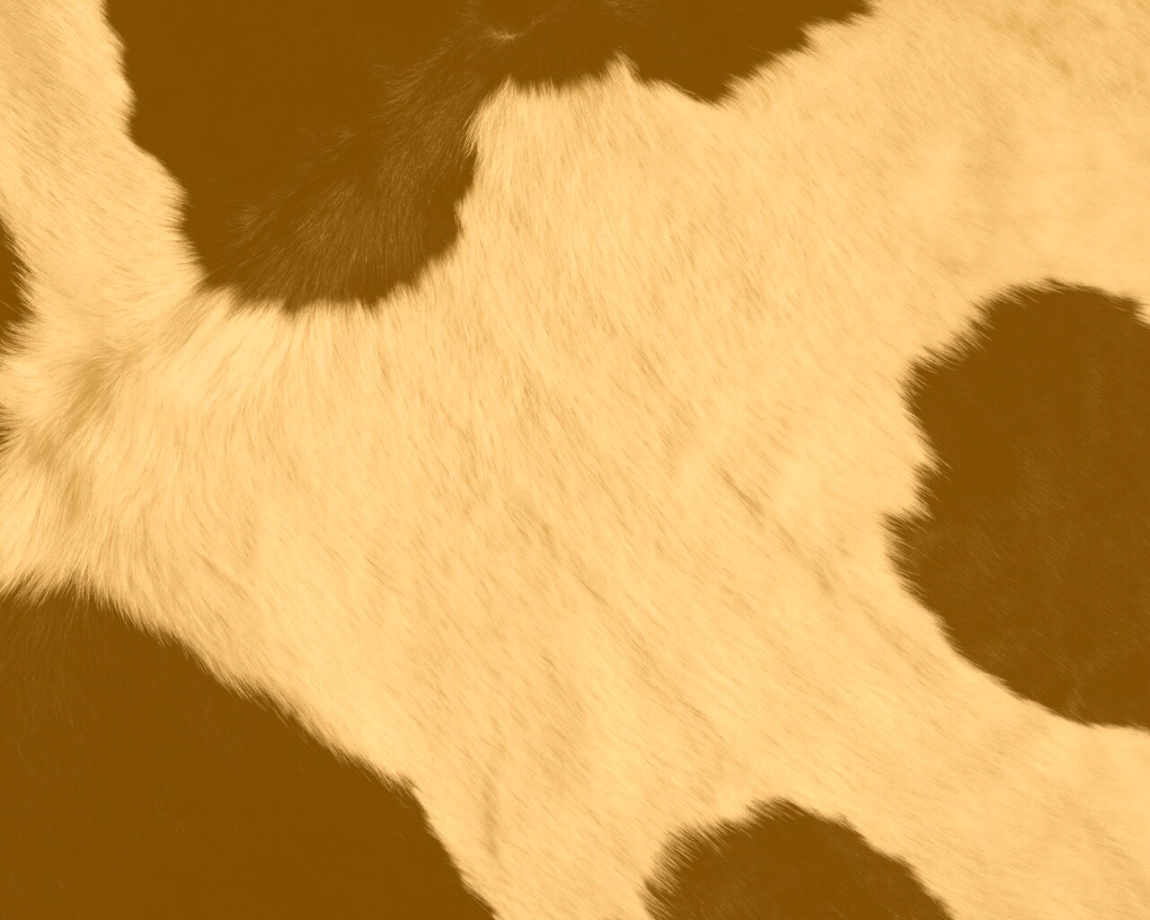 Шкура коровы обои