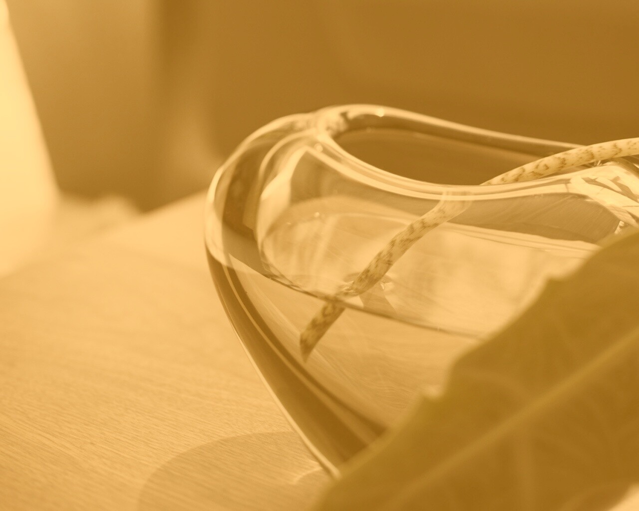 Ваза с листом обои