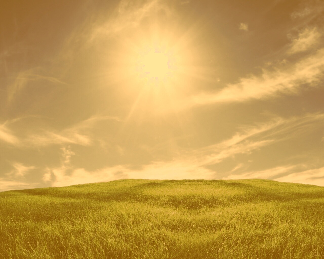 Солнце над холмом обои