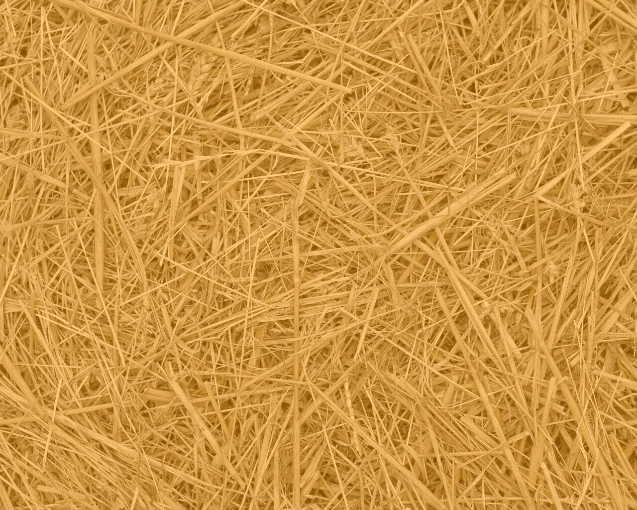 Сено обои