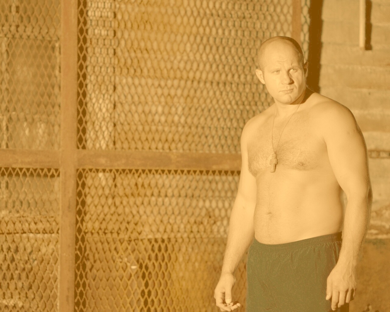 Фёдор Емельяненко обои