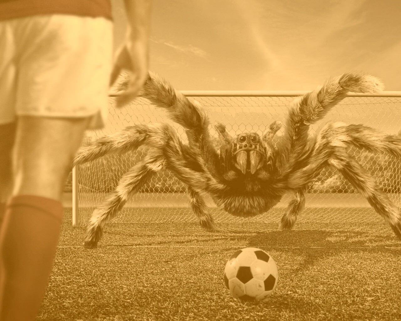 Вратарь обои