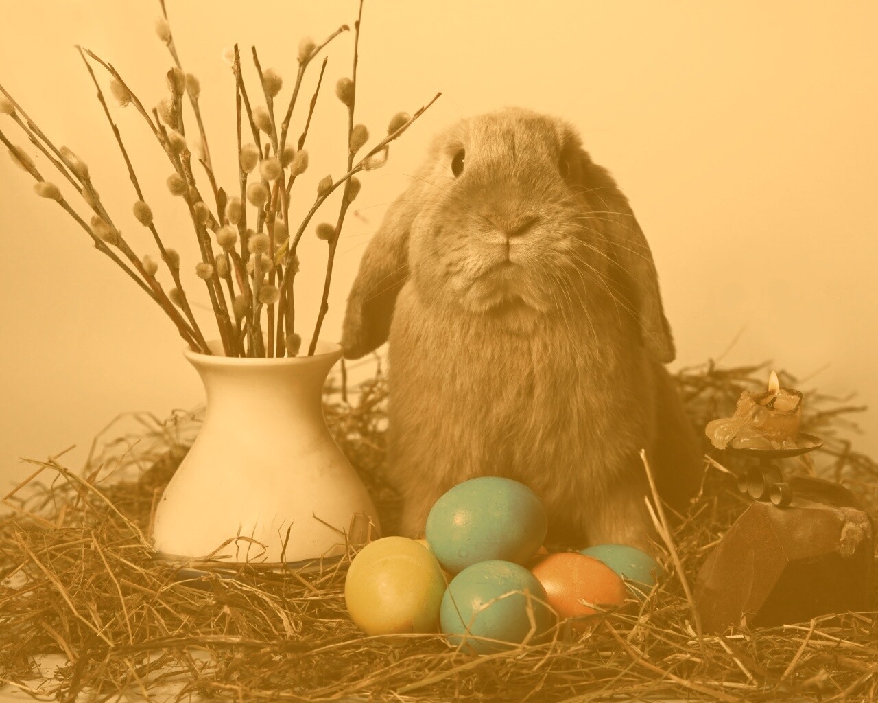 Пасхальный кролик обои