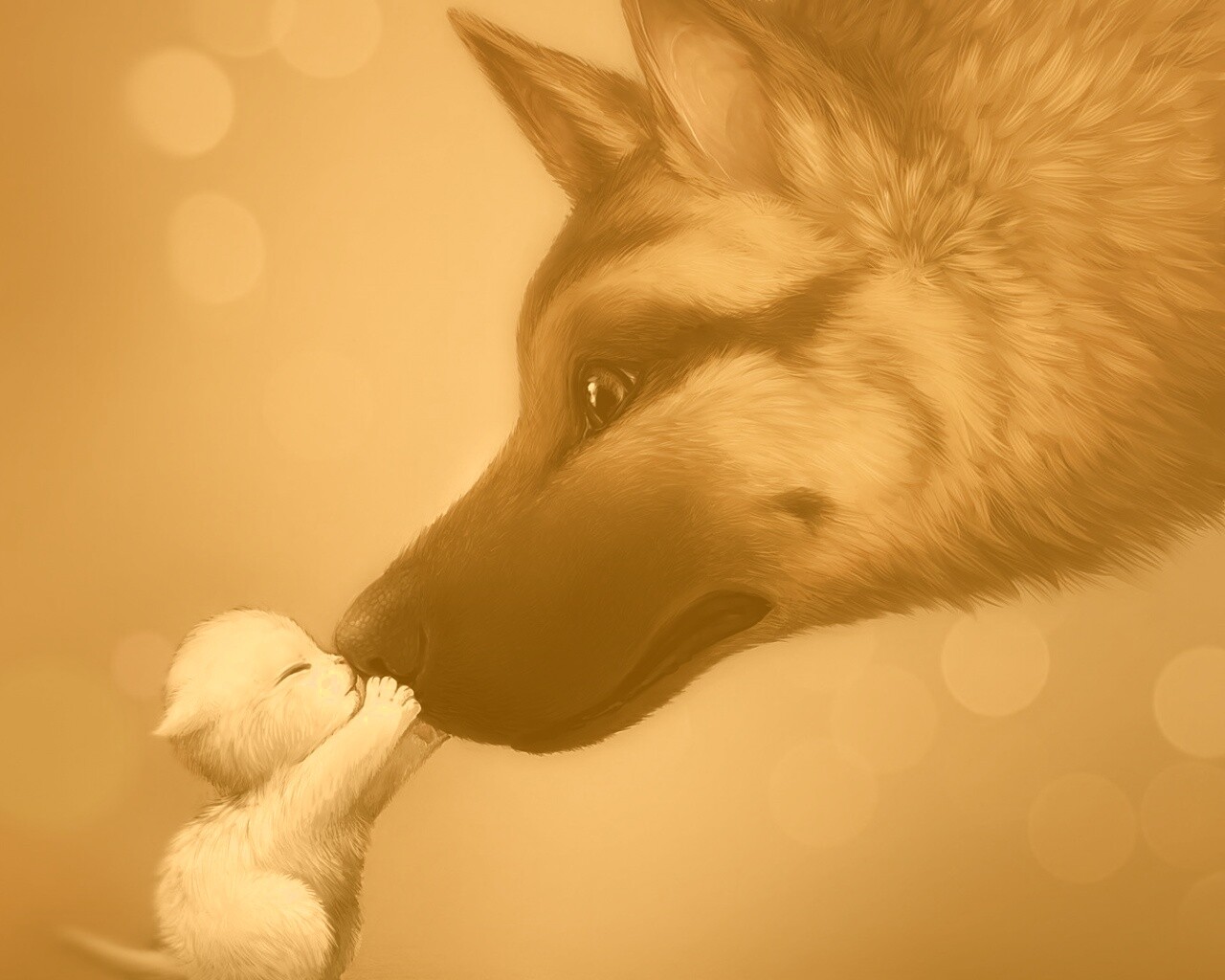 Овчарка и котенок обои