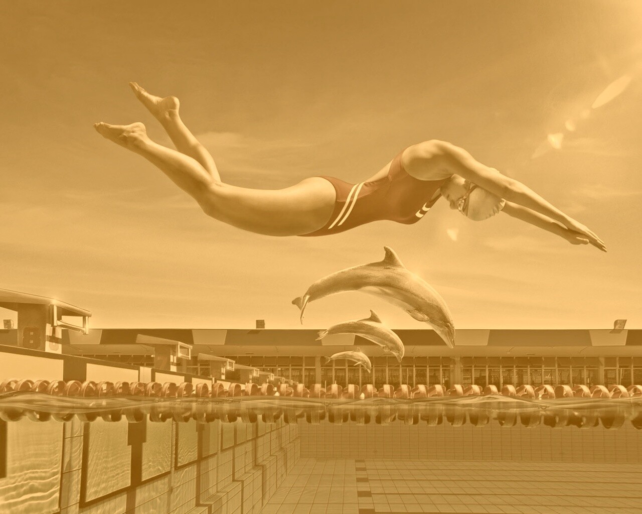 Соревнование обои