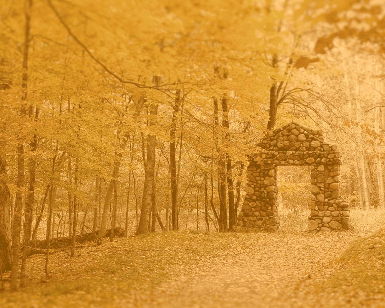Каменная арка в осеннем лесу обои