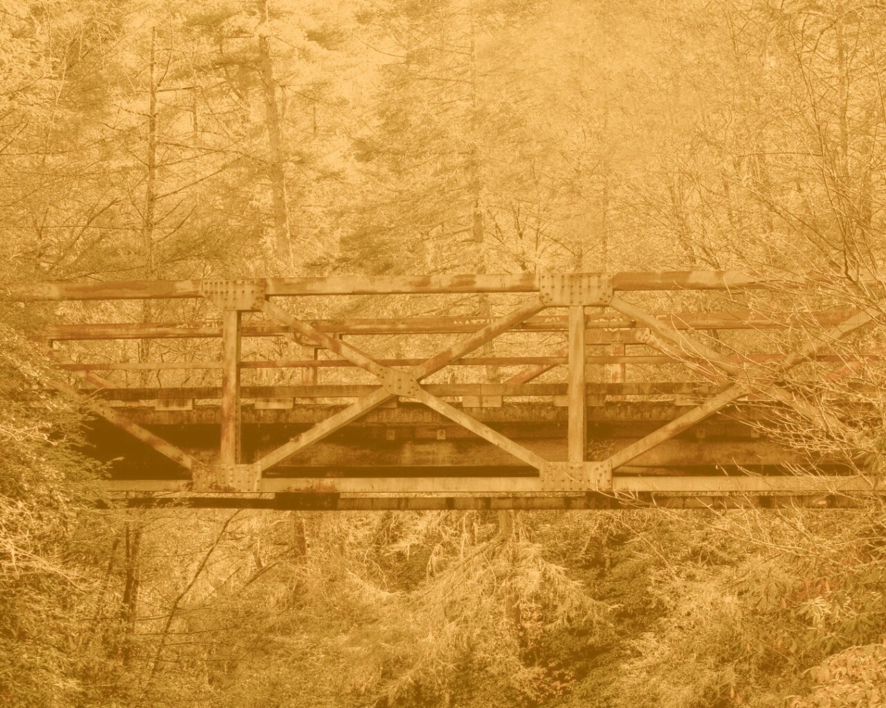 Металлический мост в лесной глуши обои