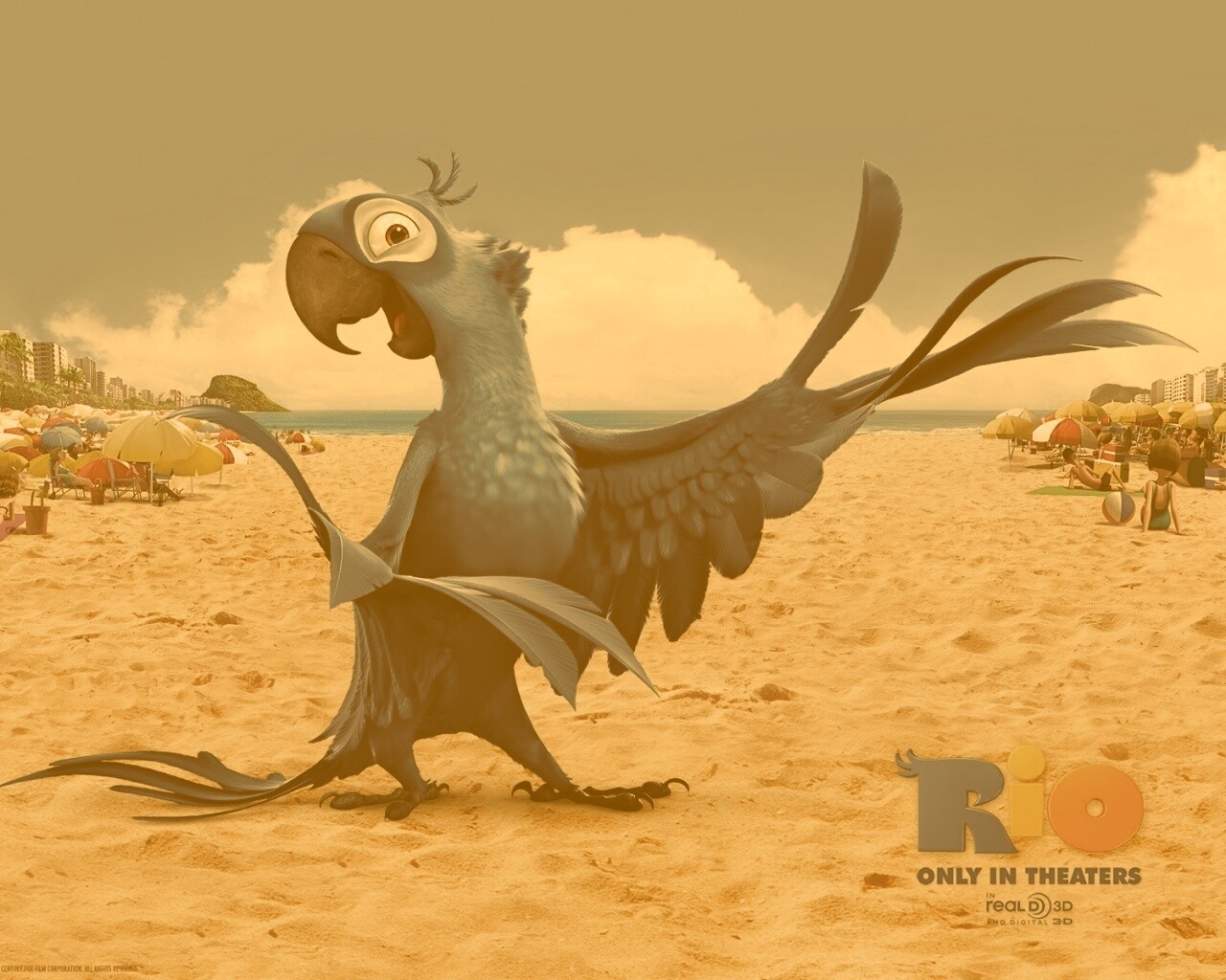 Blu из Rio обои