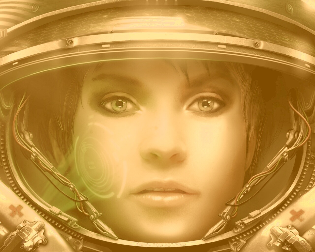 Медик из вселенной Star Craft 2 обои