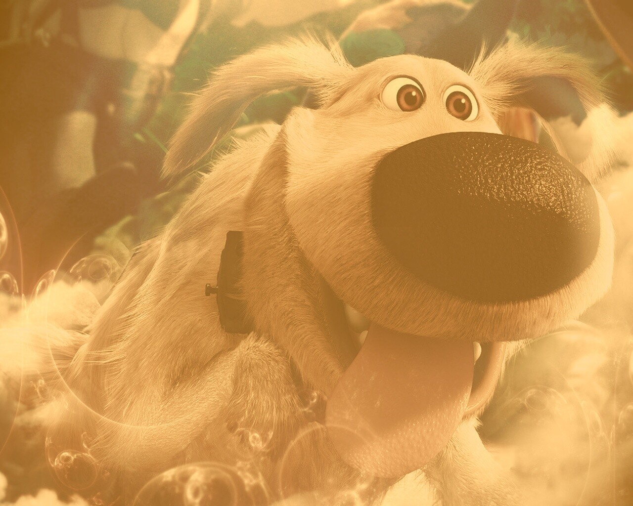 Собака из мультфильма Up обои