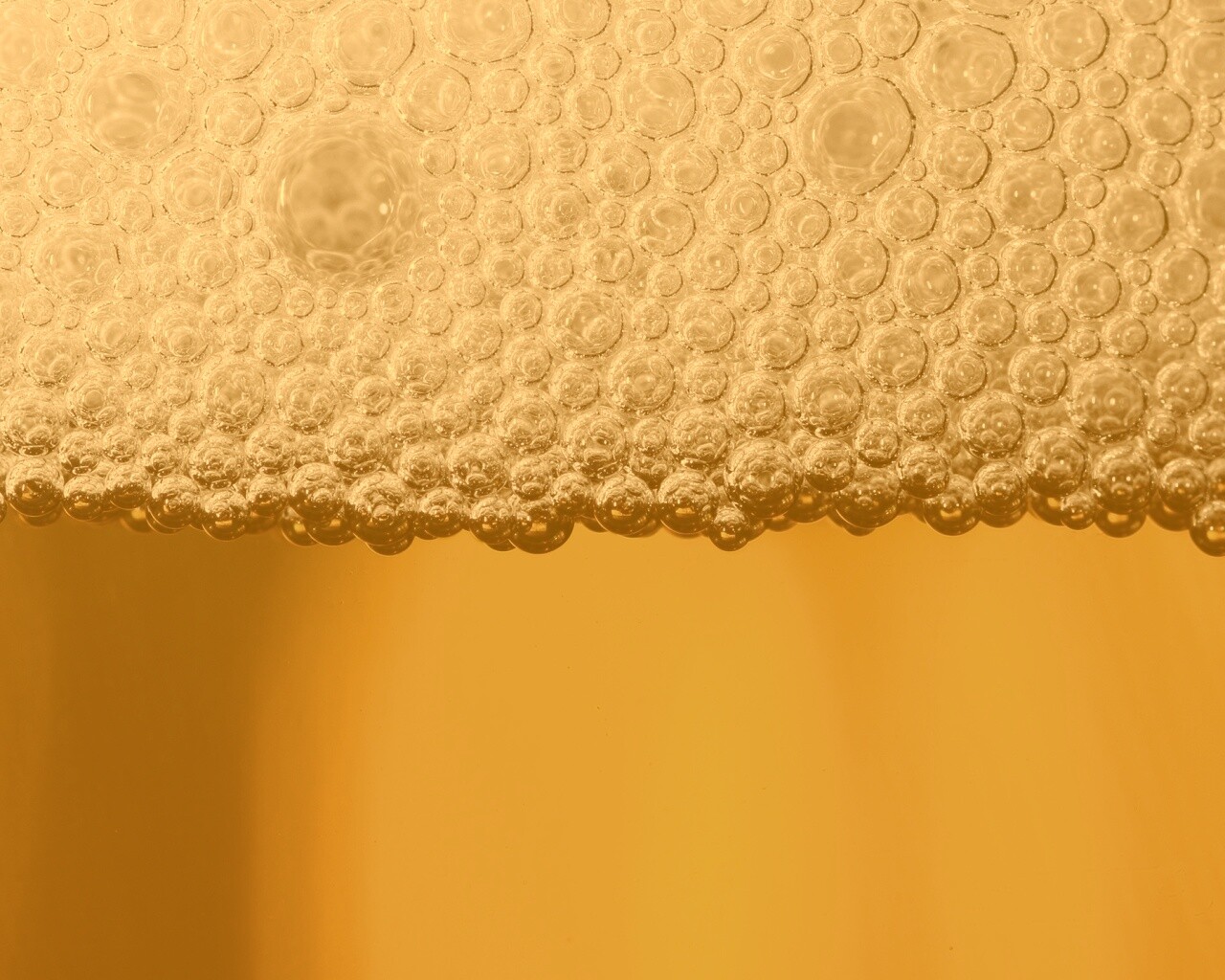 Пенное пиво в макро обои