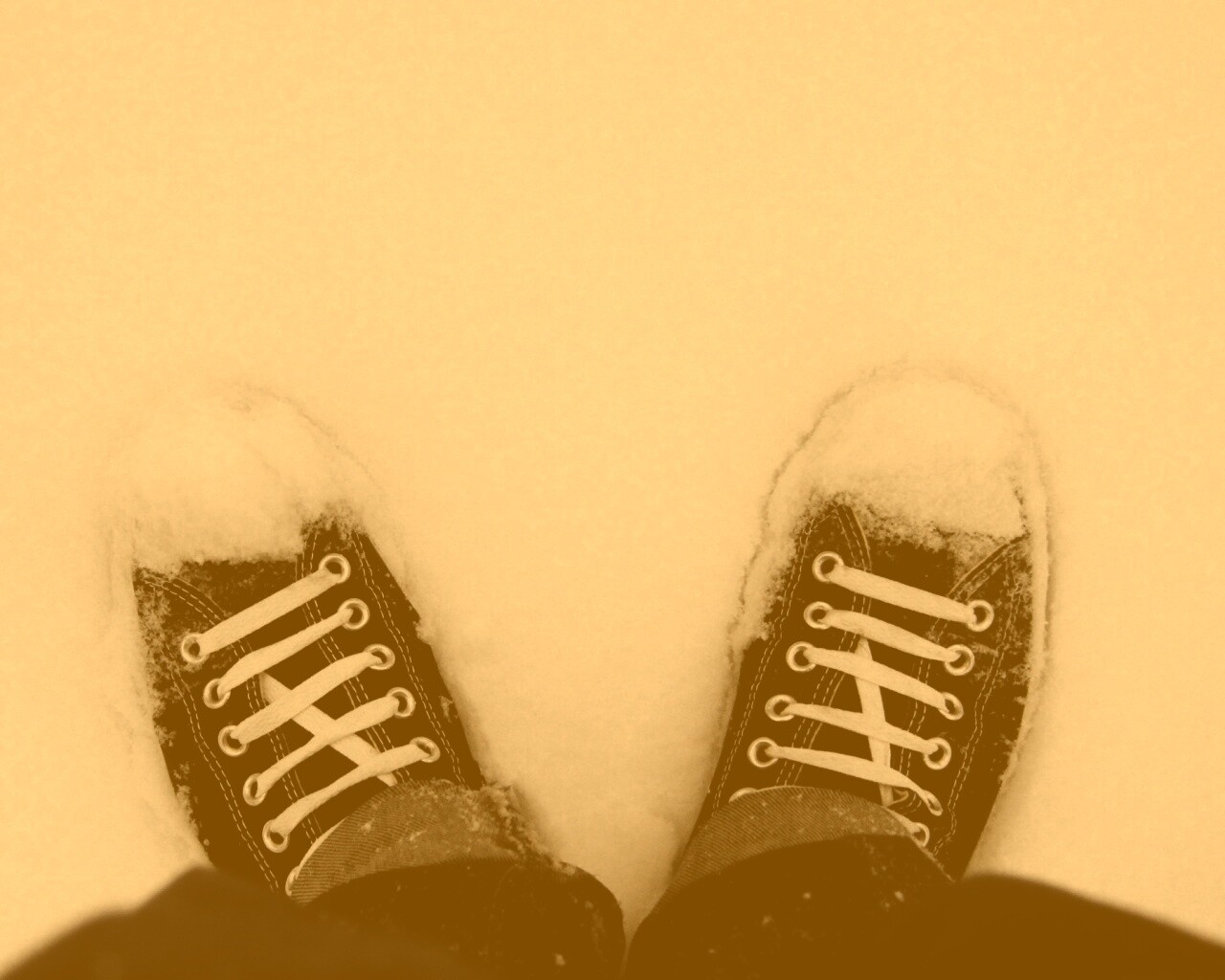 Дурак зимой в кедах обои