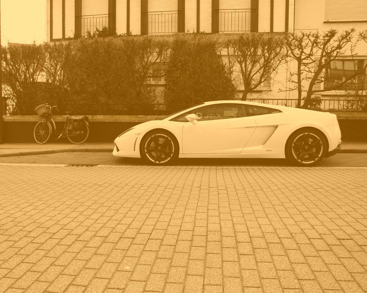 Белый Lamborghini обои