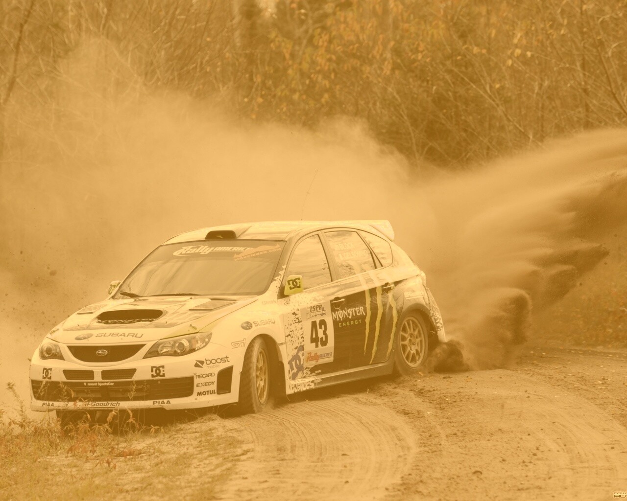 Раллийная гонка обои