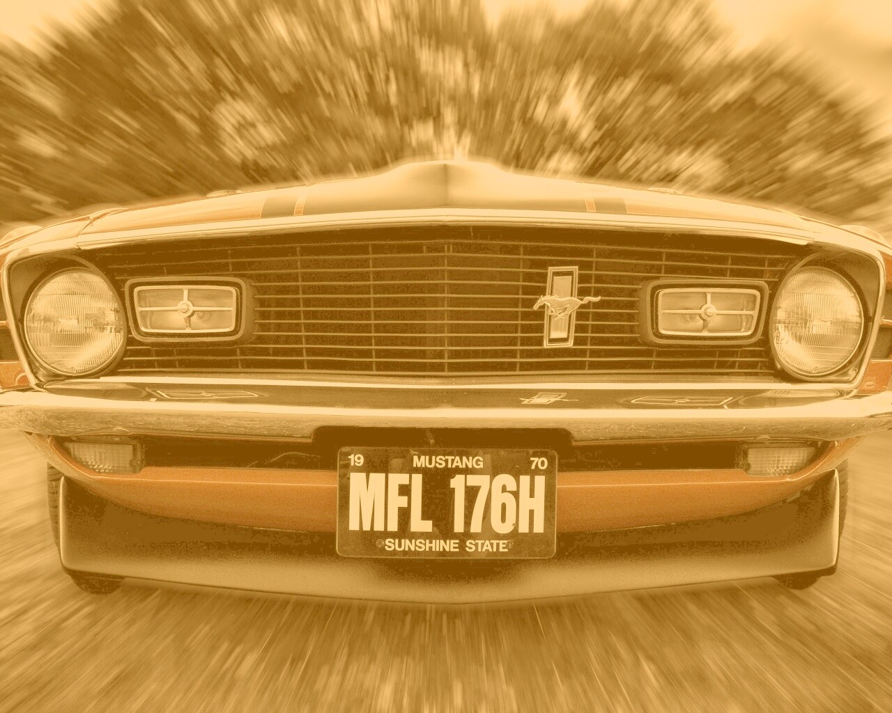 Мустанг обои