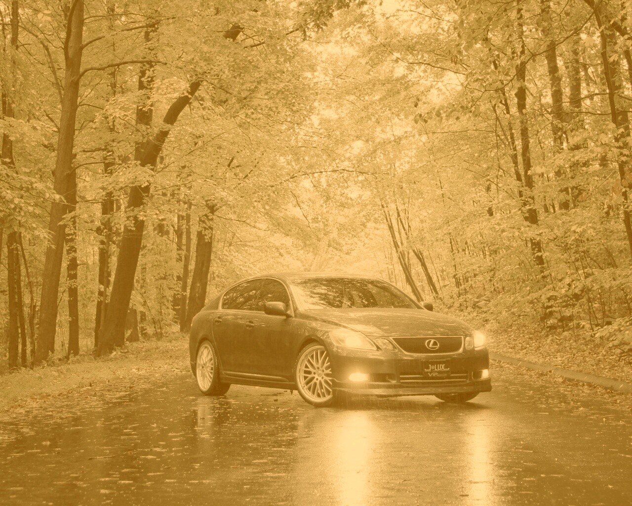 Лексус на лесной дороге обои