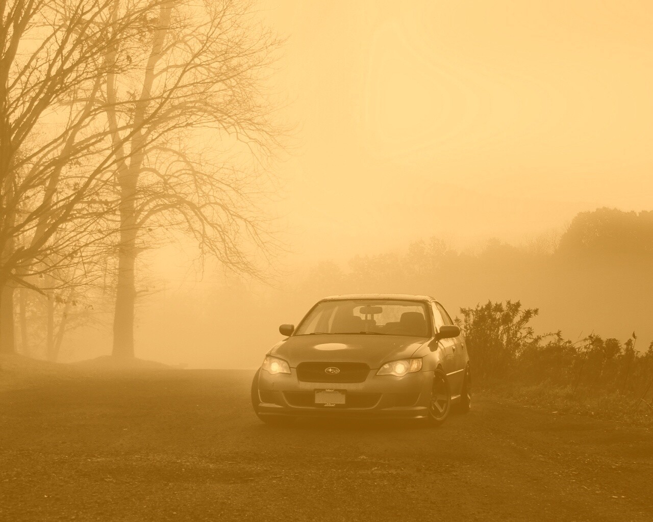 Лексус обои