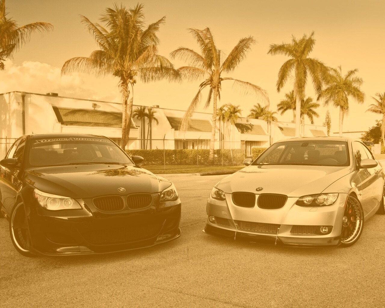 Две БМВ обои