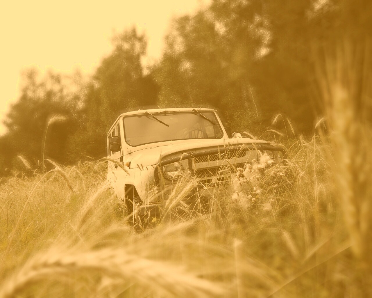 УАЗик в траве обои