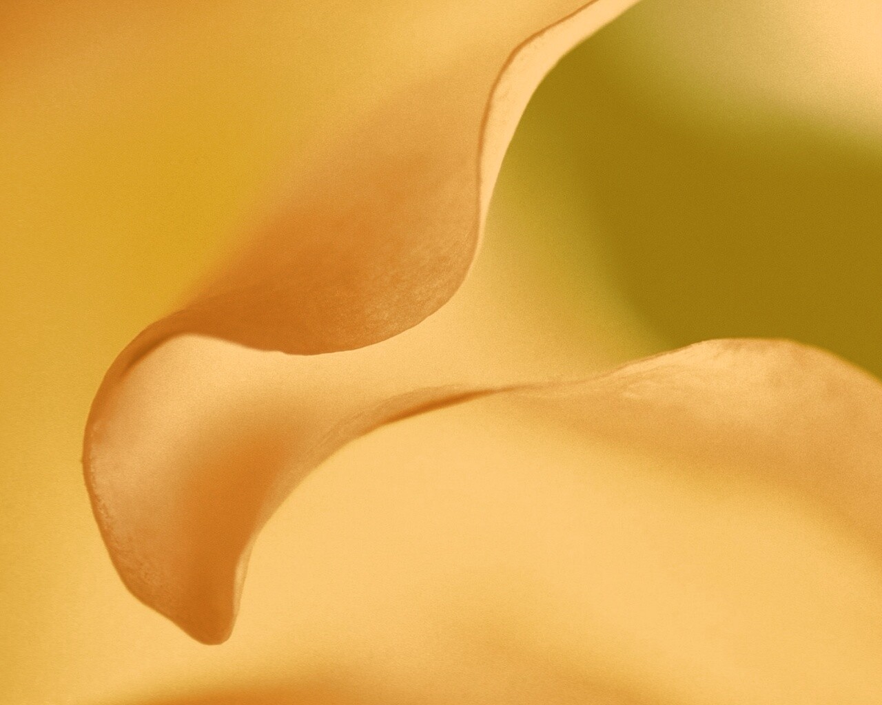 Оттенки природы обои