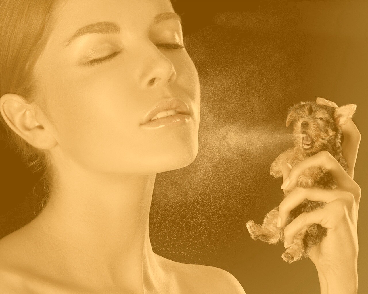 Соблюдайте гигиену обои