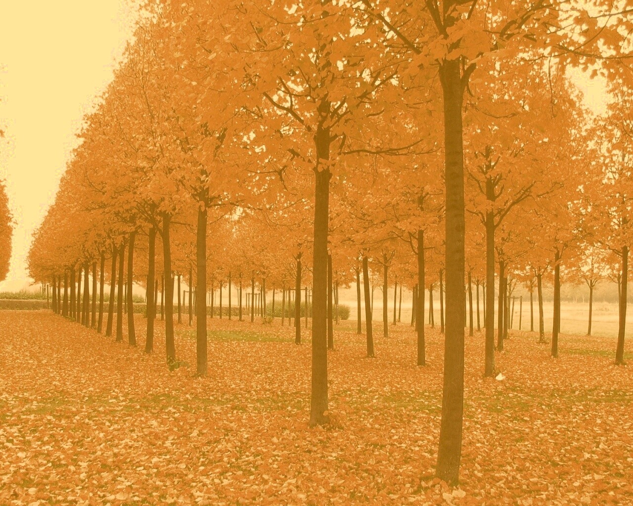 Скачать бесплатно осень обои