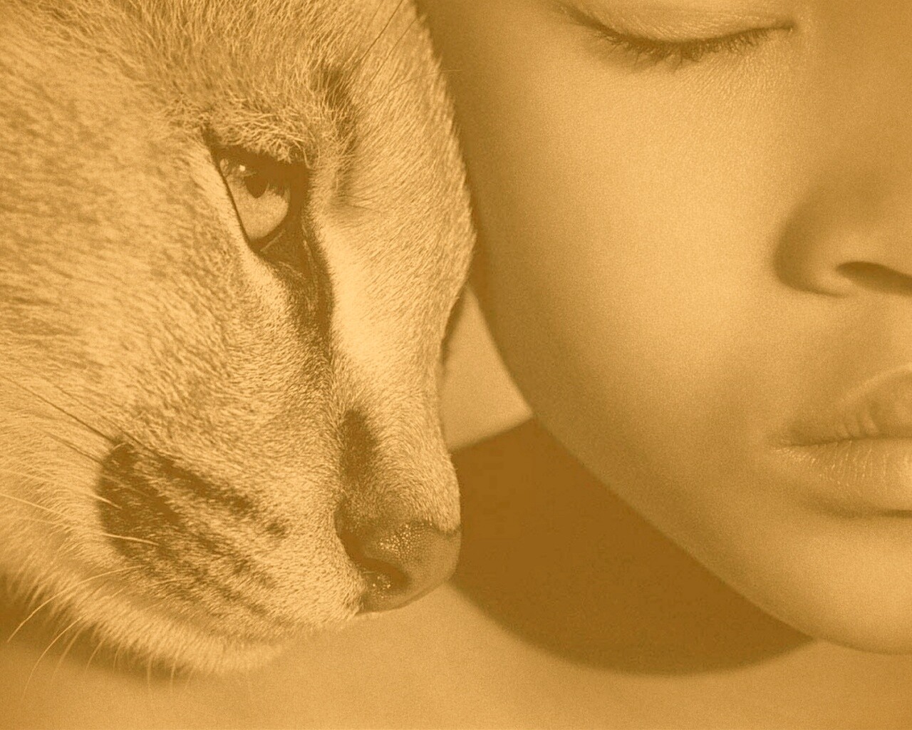 Человек и природа обои