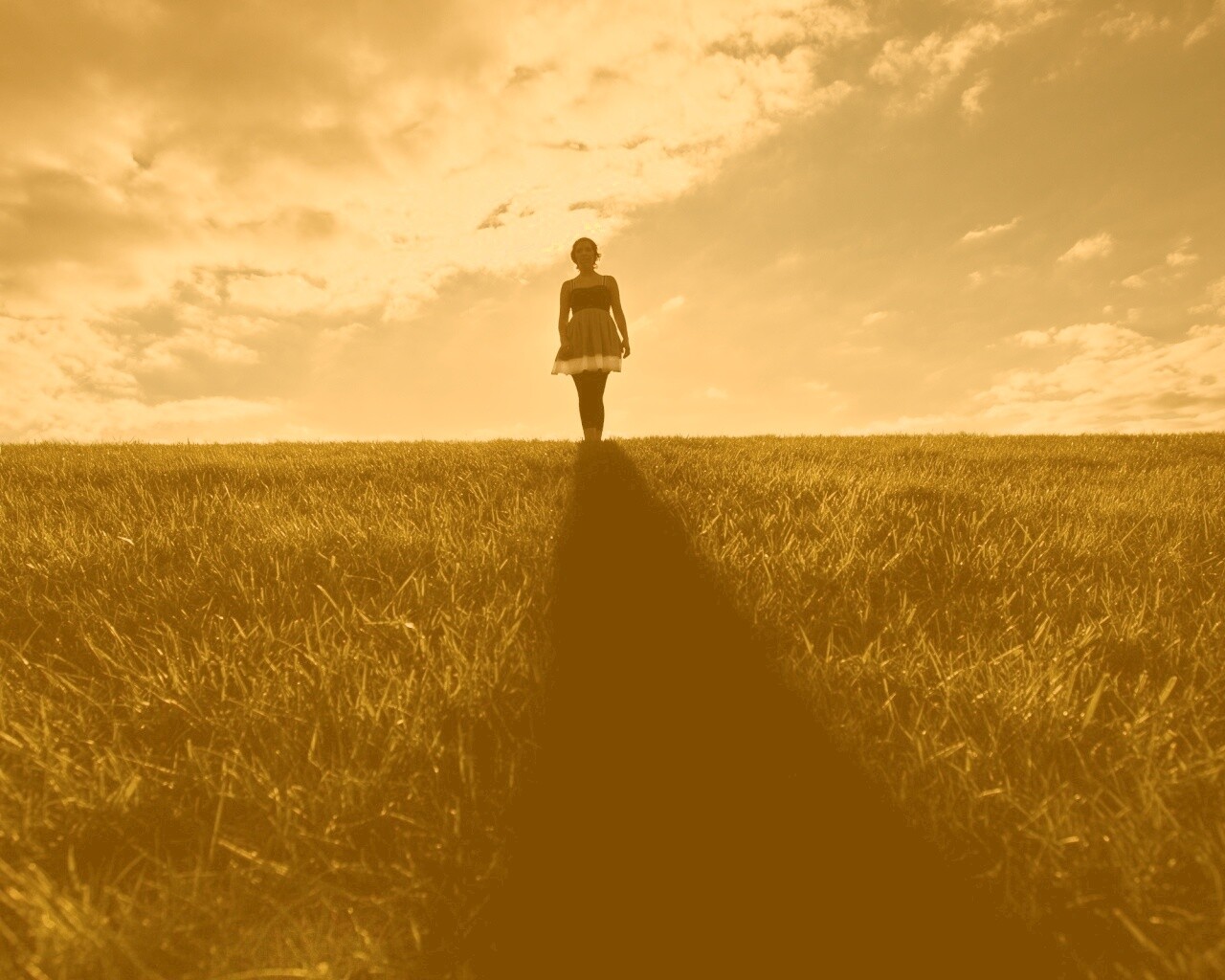 Силуэт девочки на поле обои