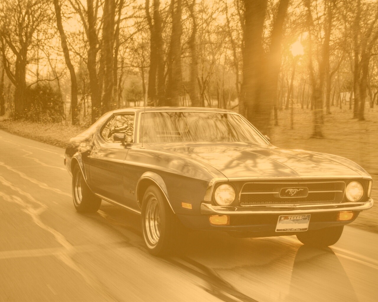 Мустанг обои