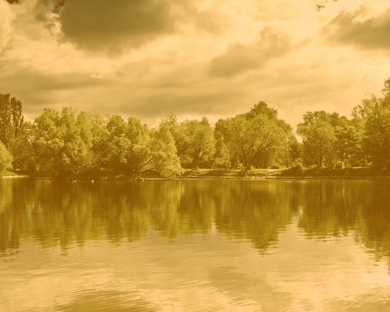 Деревья на берегу озера обои