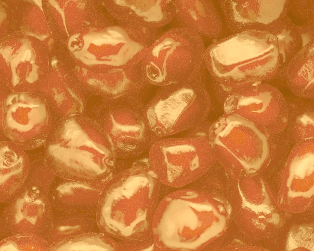 Ядра граната обои