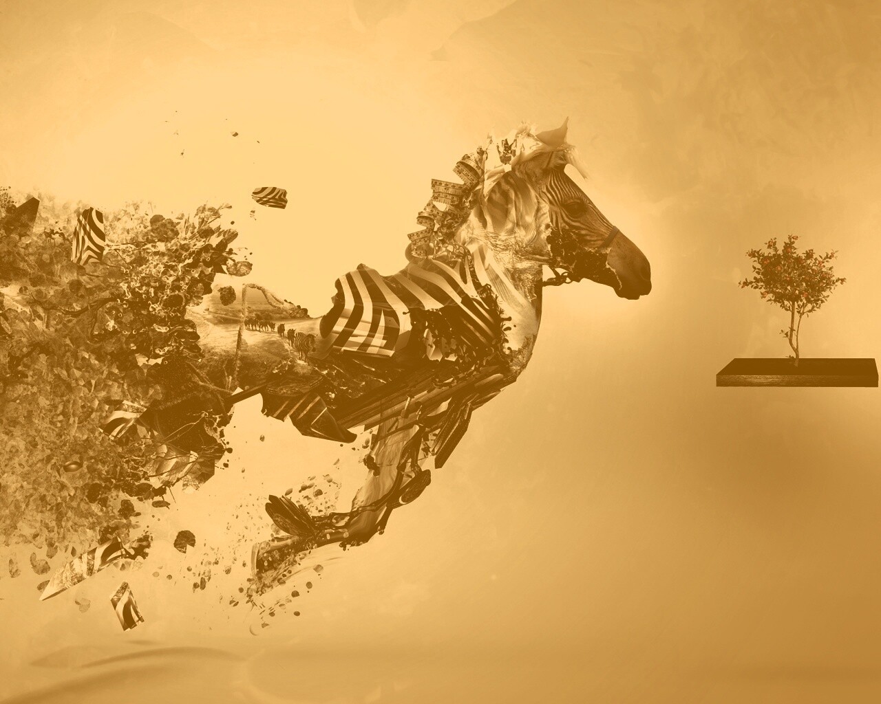 Зебра и бонсай обои