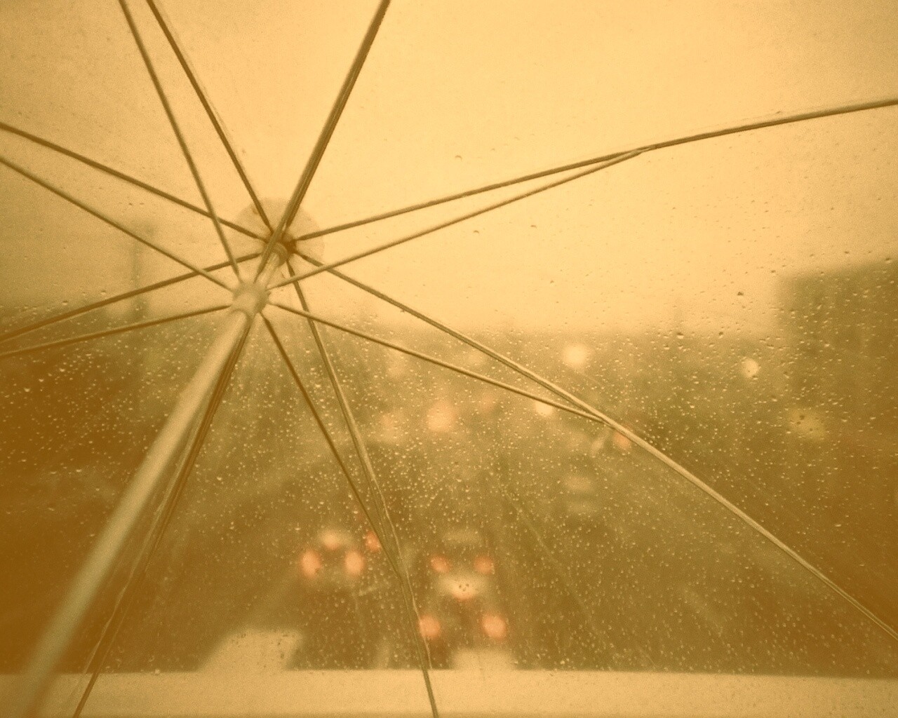Вид сквозь прозрачный зонтик обои